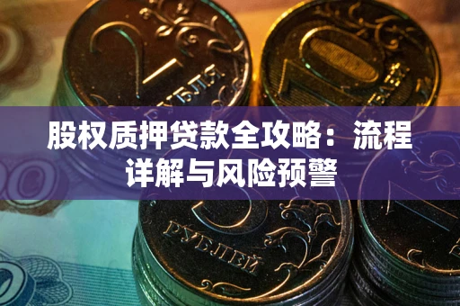 武汉股权质押贷款全攻略：流程详解与风险预警