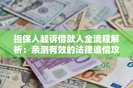 武汉担保人起诉借款人全流程解析：亲测有效的法律追偿攻略