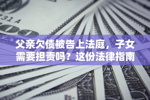 武汉父亲欠债被告上法庭，子女需要担责吗？这份法律指南必须看完
