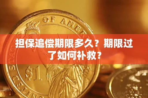 武汉担保追偿期限多久？期限过了如何补救？