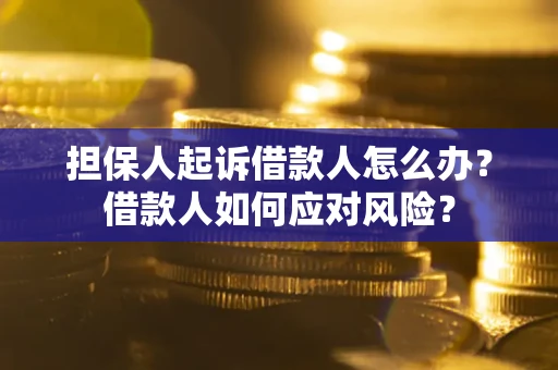 武汉担保人起诉借款人怎么办？借款人如何应对风险？