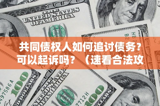 武汉共同债权人如何追讨债务？可以起诉吗？（速看合法攻略）