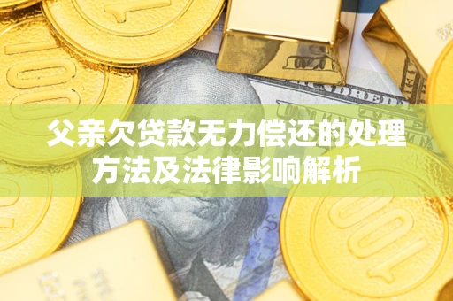 武汉父亲欠贷款无力偿还的处理方法及法律影响解析