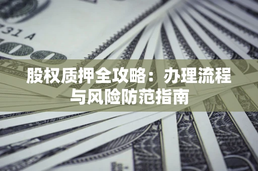 武汉股权质押全攻略：办理流程与风险防范指南