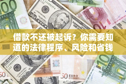 武汉借款不还被起诉？你需要知道的法律程序、风险和省钱技巧