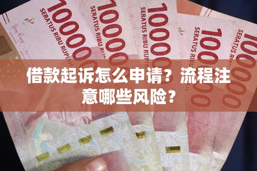 武汉借款起诉怎么申请？流程注意哪些风险？
